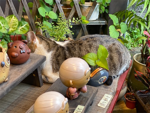 f:id:wode:20191016095442j:image f:id:wode:20191016095442j:image