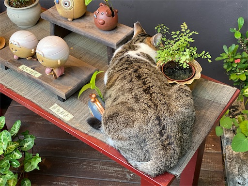 f:id:wode:20191016095609j:image f:id:wode:20191016095609j:image
