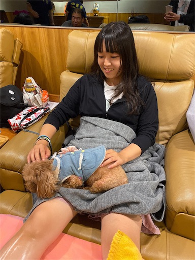 f:id:wode:20191016095621j:image f:id:wode:20191016095621j:image
