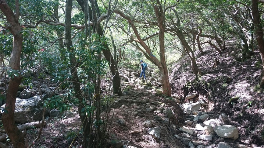 f:id:wohndc7:20180511160623j:plain