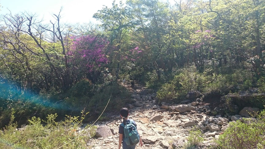 f:id:wohndc7:20180511160752j:plain