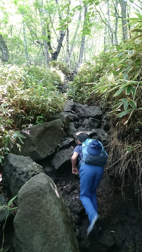 f:id:wohndc7:20180620151220j:plain