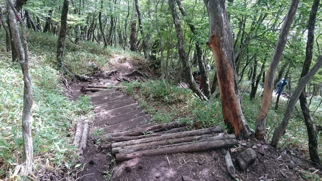 f:id:wohndc7:20180620153837j:plain