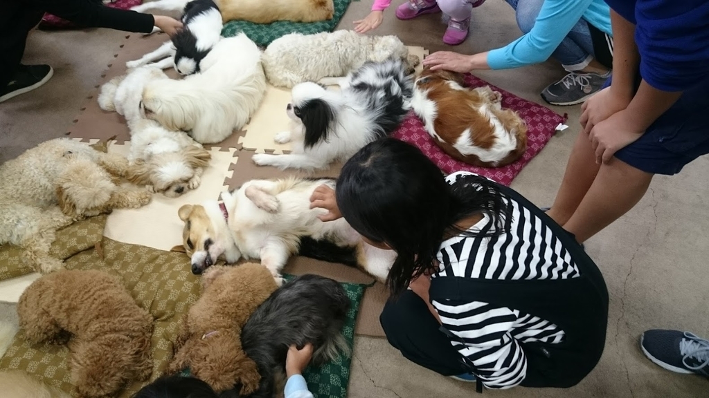 f:id:wohndc7:20180918202206j:plain f:id:wohndc7:20180918202206j:plain