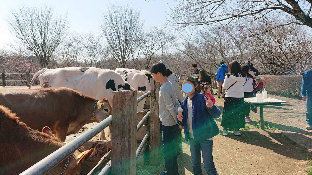 f:id:wohndc7:20190407170728j:plain f:id:wohndc7:20190407170728j:plain