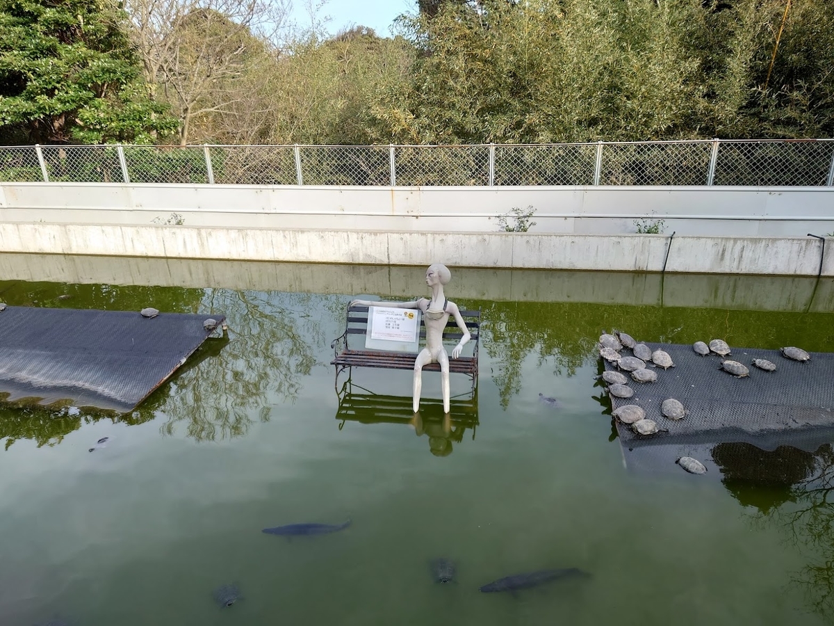 f:id:wohndc7:20220325174215j:plain