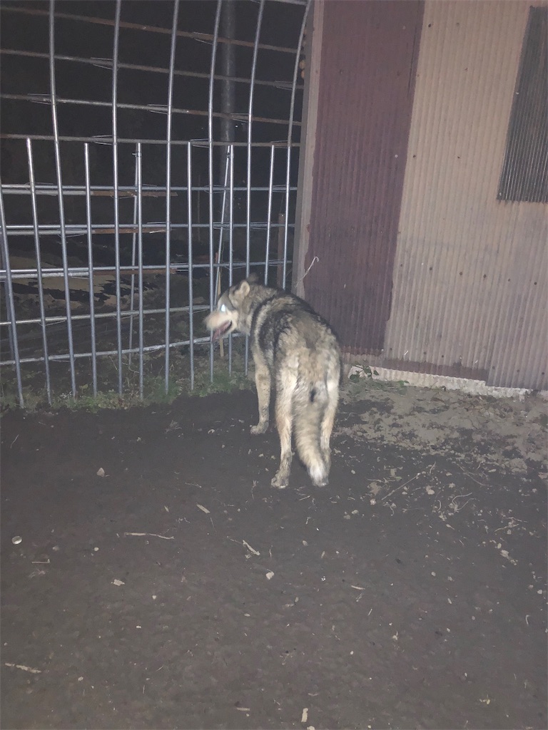 f:id:wolf-totoro:20181101200847j:image f:id:wolf-totoro:20181101200847j:image