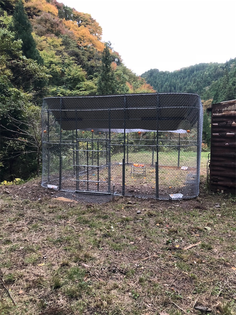 f:id:wolf-totoro:20181102214635j:image f:id:wolf-totoro:20181102214635j:image