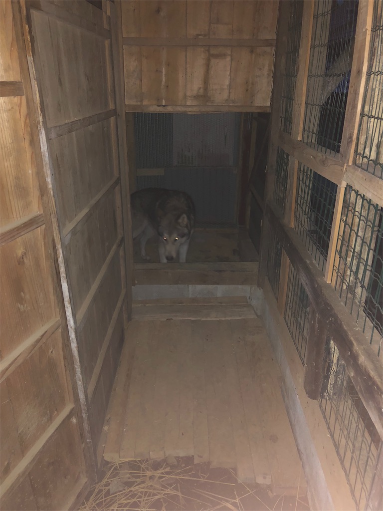 f:id:wolf-totoro:20181113204759j:image f:id:wolf-totoro:20181113204759j:image