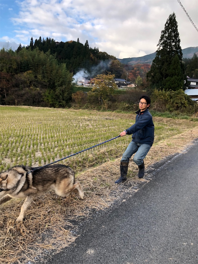 f:id:wolf-totoro:20181116203507j:image f:id:wolf-totoro:20181116203507j:image