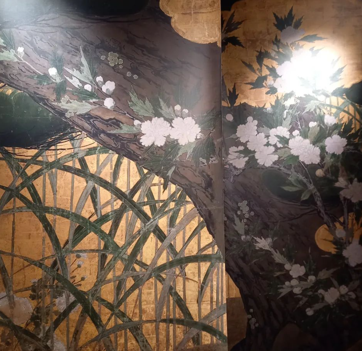 宝の山。京都智積院 - こんな日、狼が走る。