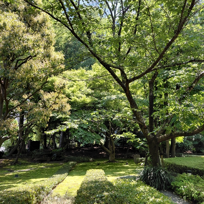 関出、「廃園濃紫」、希少な画集より、 新品高級額装付、日本人画家 自然と生き物の美しさを丹念に描写する櫻谷。小さな美術館でしっとりと