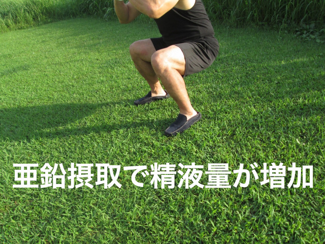 f:id:wolfness:20180620163140j:plain f:id:wolfness:20180620163140j:plain