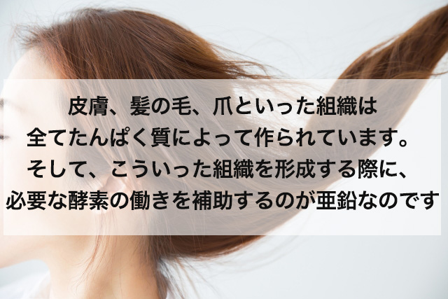 f:id:wolfness:20180620171838j:plain f:id:wolfness:20180620171838j:plain