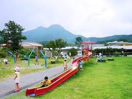 f:id:wonderfu_pet:20201002230921j:plain f:id:wonderfu_pet:20201002230921j:plain