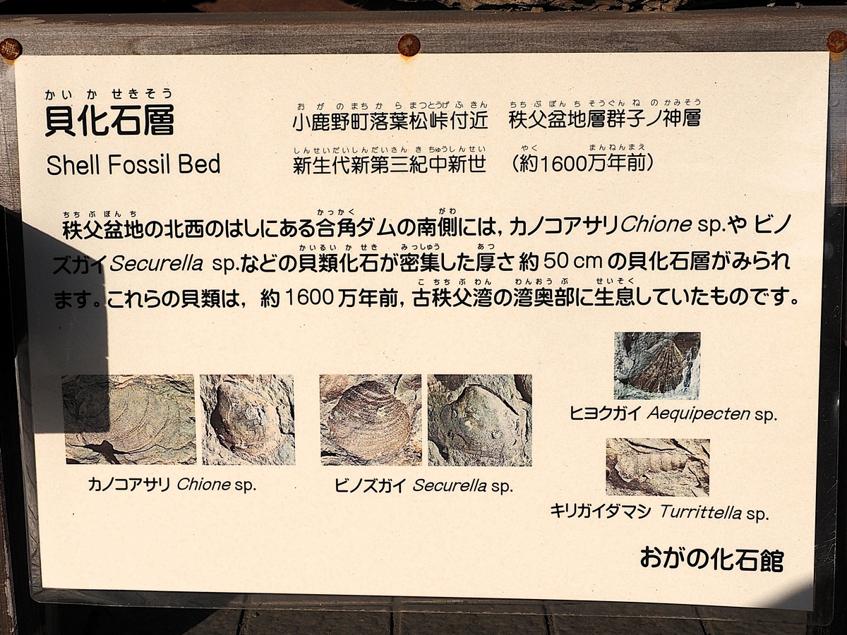 化石でワンダー探検隊」事前調査 - 続・たか爺のワンダースクール通信