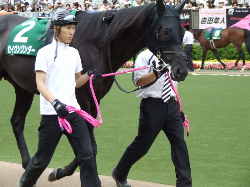 セイウンワンダー