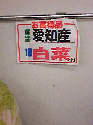 白菜