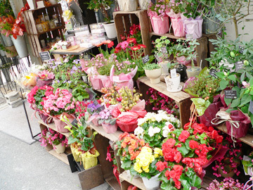 お花屋さん