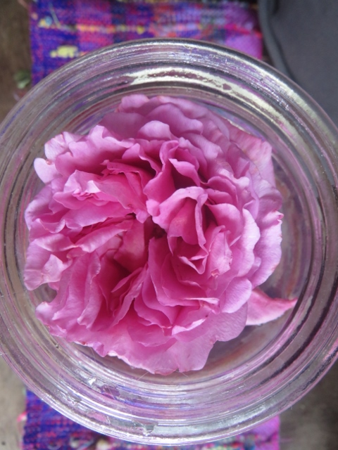 f:id:wong0110:20171118003109j:plain