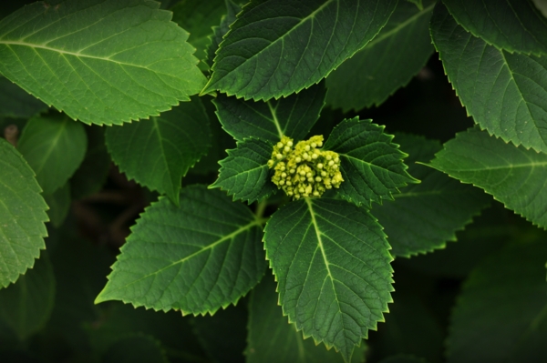 20100531215825