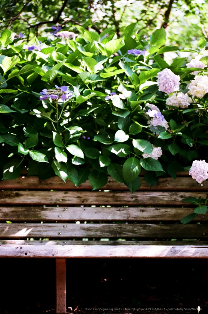 f:id:wonodas:20160703202341j:plain
