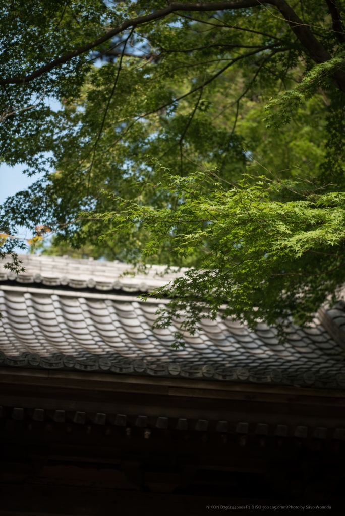 f:id:wonodas:20160816213343j:plain