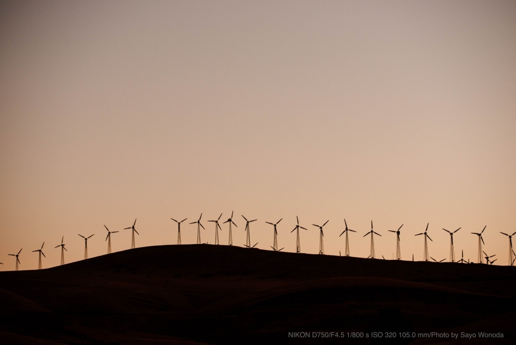 f:id:wonodas:20170704143903j:plain