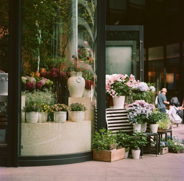 f:id:wonodas:20171213200802j:plain