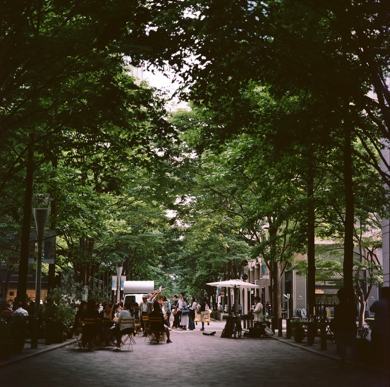 f:id:wonodas:20171213201358j:plain