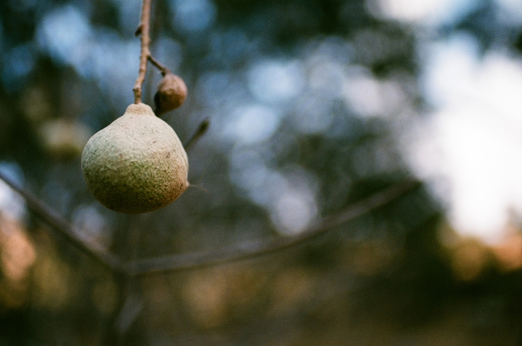 f:id:wonodas:20171224210706j:plain f:id:wonodas:20171224210706j:plain