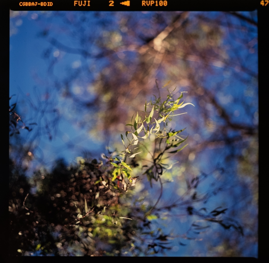 f:id:wonodas:20180427214627j:plain
