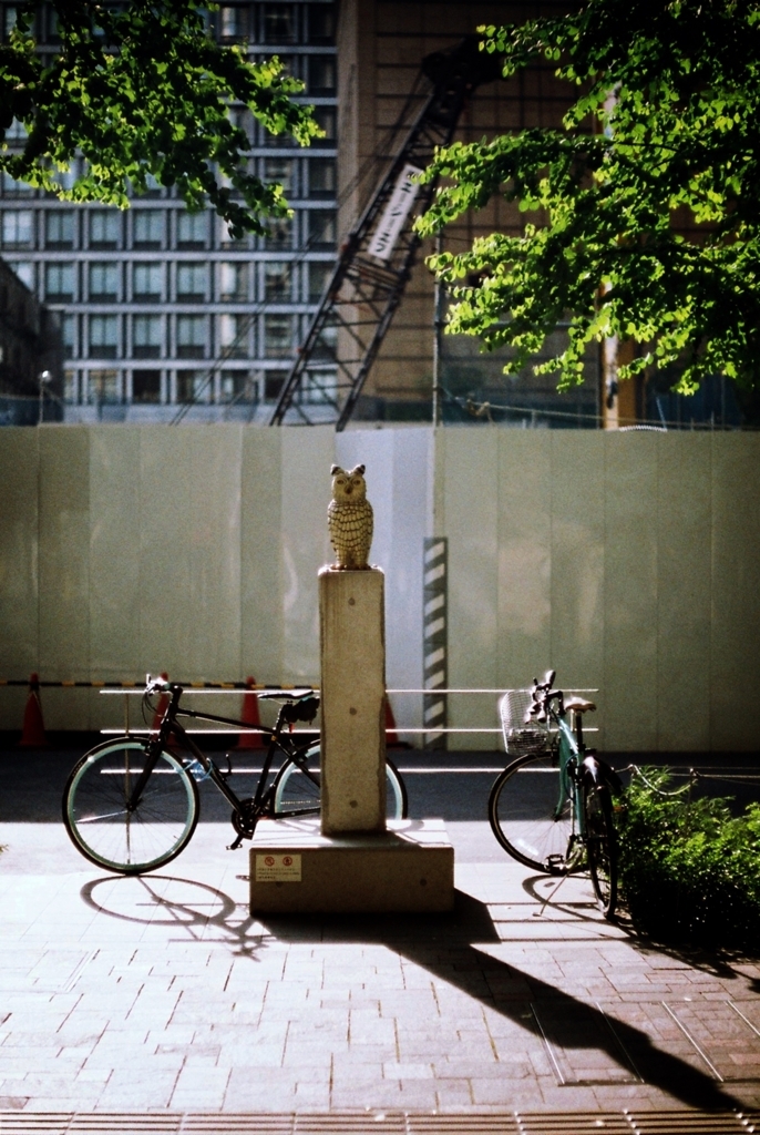 f:id:wonodas:20180607233634j:plain