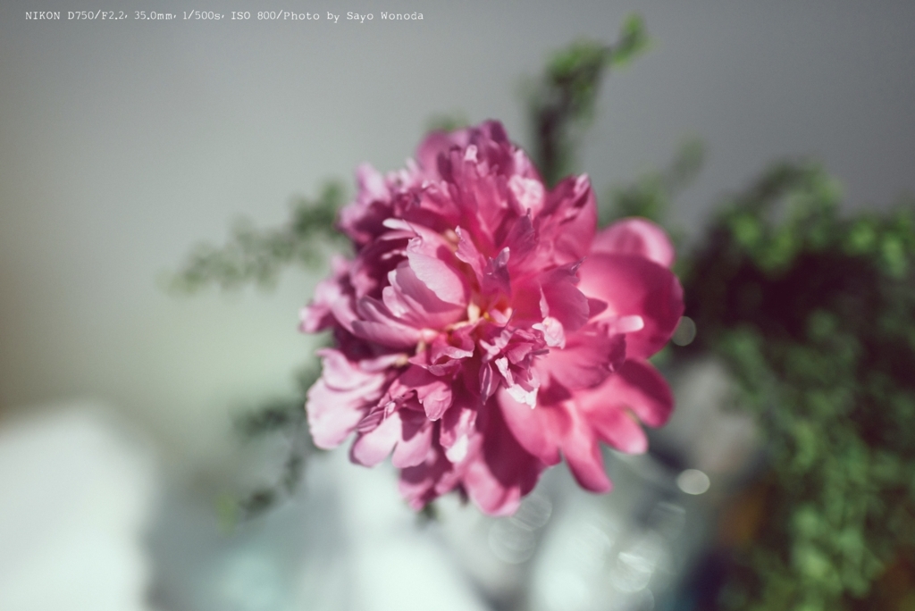 f:id:wonodas:20180620233842j:plain