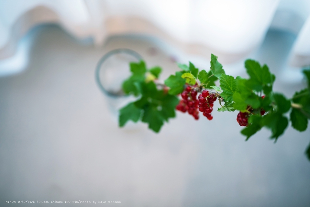 f:id:wonodas:20180625223752j:plain