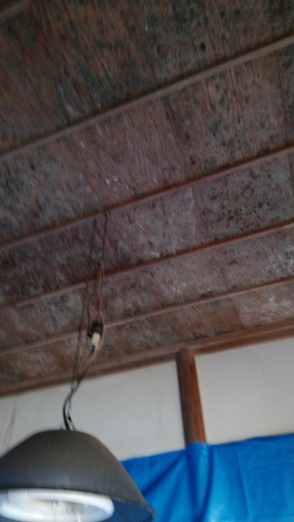 f:id:woodbell323:20191223221156j:plain f:id:woodbell323:20191223221156j:plain
