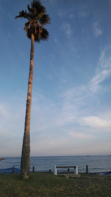 f:id:woodbell323:20200611210256j:plain f:id:woodbell323:20200611210256j:plain