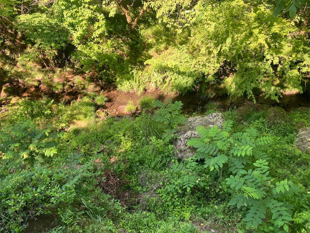 f:id:woodrops:20260530061518j:image