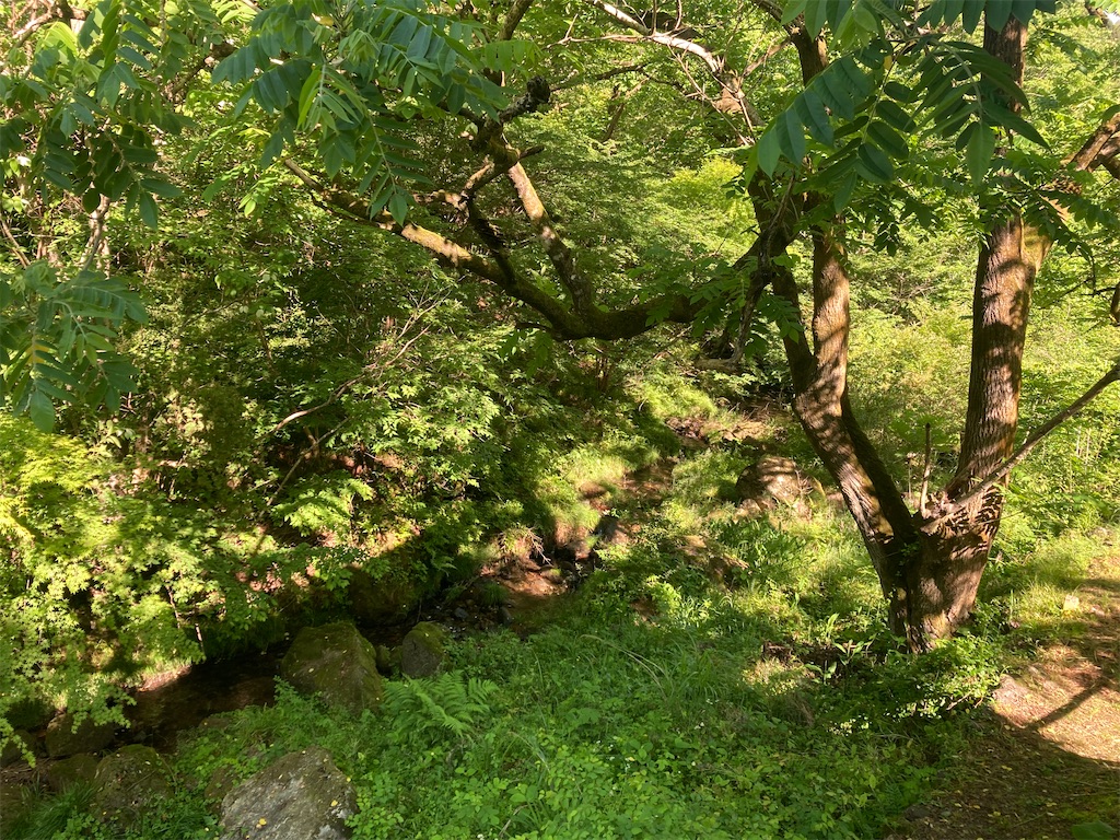 f:id:woodrops:20260530061528j:image