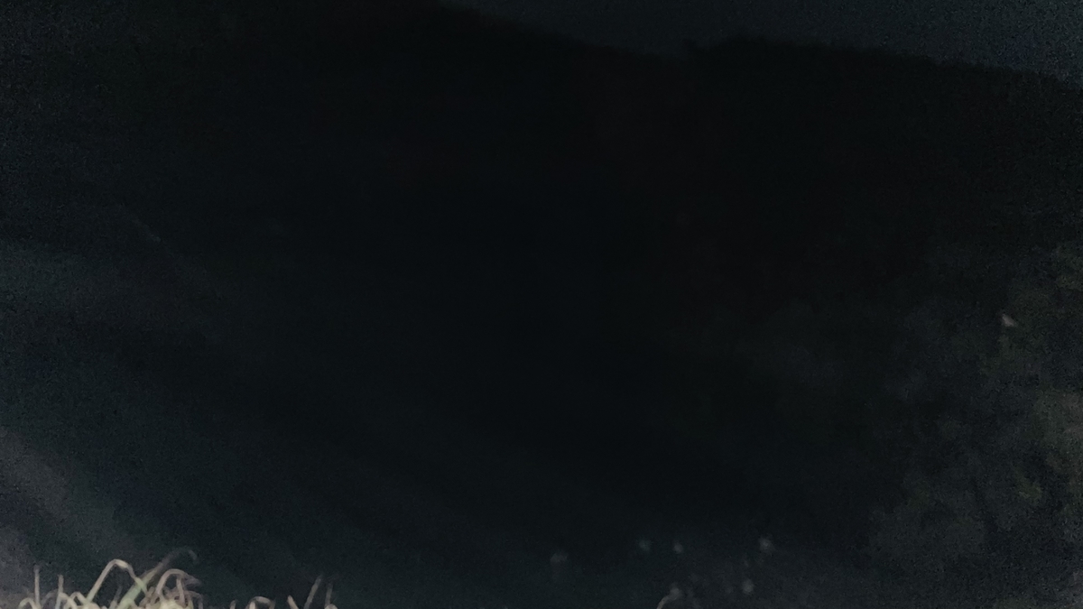 f:id:woodstock11:20210406233332j:plain