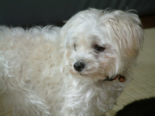 f:id:woody268:20121221192020j:image f:id:woody268:20121221192020j:image