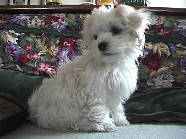 f:id:woody268:20121221192026j:image f:id:woody268:20121221192026j:image