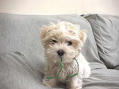 f:id:woody268:20121221192027j:image f:id:woody268:20121221192027j:image