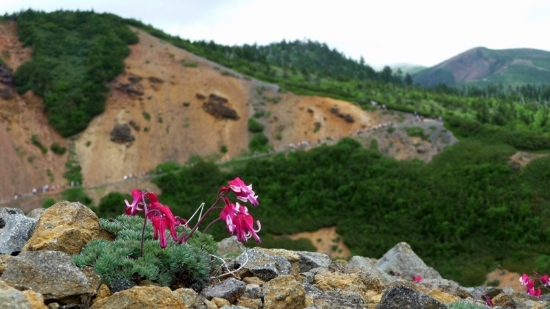f:id:woody268:20130709193209j:image f:id:woody268:20130709193209j:image