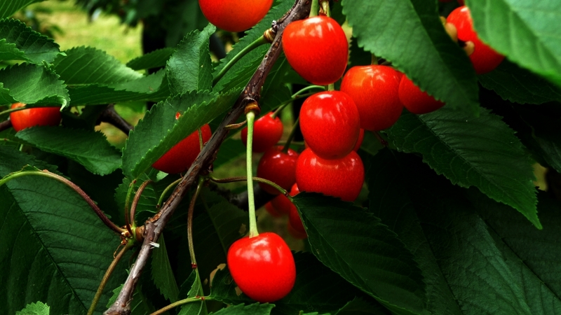 f:id:woody268:20130709201852j:image f:id:woody268:20130709201852j:image