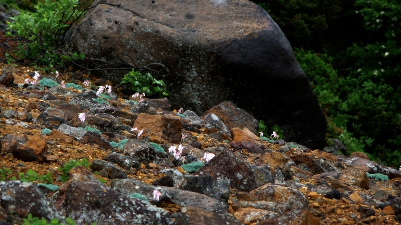 f:id:woody268:20130709201856j:image f:id:woody268:20130709201856j:image