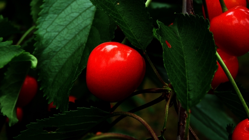f:id:woody268:20130709201903j:image f:id:woody268:20130709201903j:image