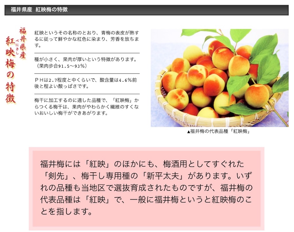 梅仕事2024 福井紅映梅（1）追熟中 - Woody&Allen工房