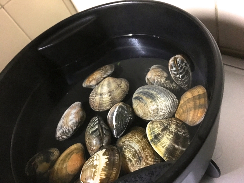 ばかもりだし 昆布の出汁をとったら,アサリを入れる.