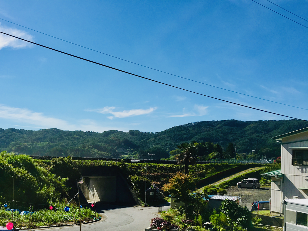 f:id:wooweezoowee:20190312020726p:plain:w600 f:id:wooweezoowee:20190312020726p:plain:w600